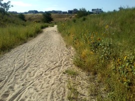 trail at first glance