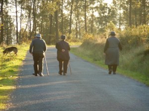 Close to Finisterre, I saw these three elders ambling.