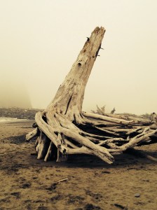 It looked like the end of the world, to me.