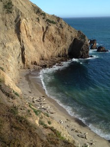 Being surrounded by nature helps this introvert recharge.